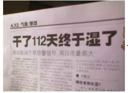新闻事故爆料怎么写标题,揭秘新闻背后的真相与反思 第1张 新闻事故爆料怎么写标题,揭秘新闻背后的真相与反思 第1张