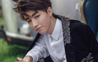 杨柳爆料王俊凯视频完整版,王俊凯视频完整版幕后故事大公开 第2张 杨柳爆料王俊凯视频完整版,王俊凯视频完整版幕后故事大公开 第2张