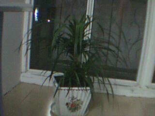 桂林新闻爆料找谁  第2张